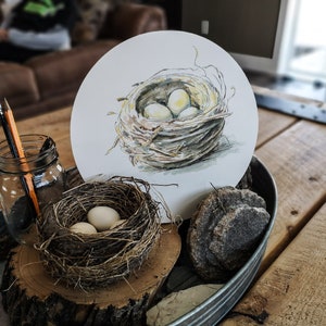 Puede incluir: Una pintura de acuarela de un nido de pájaro con tres huevos blancos en su interior. El nido está hecho de ramitas y está sobre un fondo blanco. La pintura está en un trozo de papel redondo.