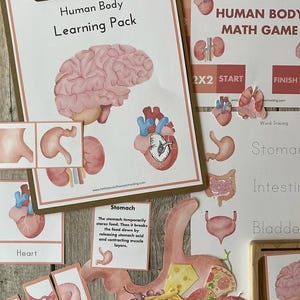 May include: Educational human body learning pack with illustrations of the brain, heart, and stomach. Includes a math game and word tracing activities. The learning pack is on a clipboard with additional cut-out pieces.
