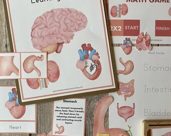 Human Body Early Learning Pack