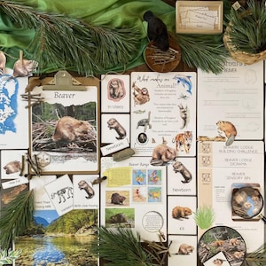 May include: A collection of educational materials about beavers, including a map of North America, a beaver anatomy diagram, a beaver lodge building challenge, and a beaver sensory bin. The materials are laid out on a wooden table with green foliage and a brown cloth.