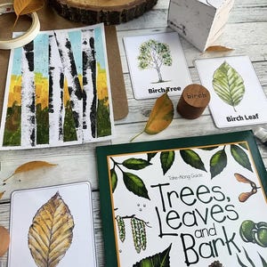 Peut inclure: Ensemble de matériel pédagogique sur les arbres, les feuilles et l'écorce. Comprend un livre intitulé "Trees, Leaves and Bark", des cartes, un tampon en bois de bouleau et une peinture à l'aquarelle de bouleaux.