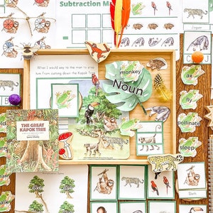 The Great Kapok Tree Book Unit