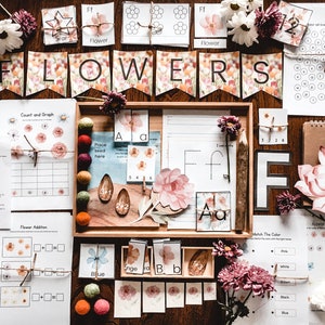 F is for Flower Early Learning Pack