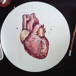 May include: Watercolor painting of a human heart on a white circular canvas. The heart is rendered in shades of red and pink, with visible veins and arteries. Paint splatters and art supplies, including a palette of watercolors, pencils, and a ruler, are visible.