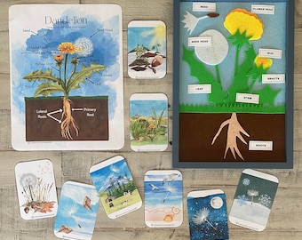 Dandelion Seed Themed Pack