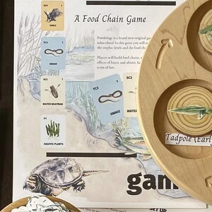 Pode incluir: Um jogo de tabuleiro chamado "pondology" com um tabuleiro de madeira e cartas com ilustrações de animais e plantas. O jogo foi projetado para ensinar sobre cadeias alimentares.