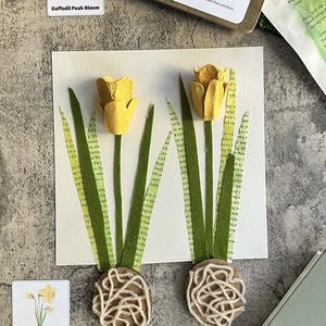 以下が含まれることがあります： 手作りの水仙のクラフト。黄色の花と緑の紙の茎を使用。根はひもで作られています。画像には、「Daffodil Peak Bloom」と「Daffodil Sprout」というテキストが記載された教育カードが含まれています。