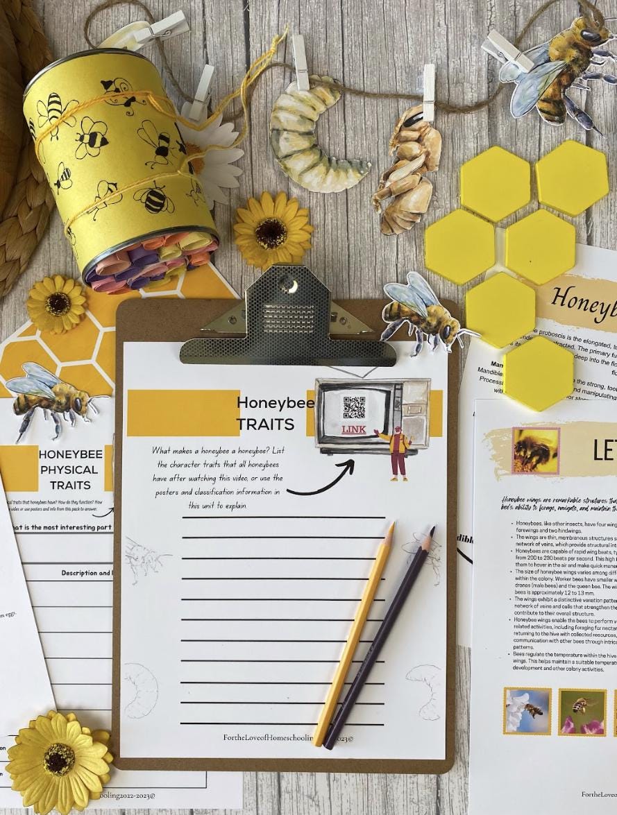 Honey Bee Unit Study - Etsy