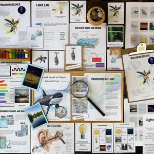 May include: A collection of educational materials about light, sound, and nature. Includes flashcards, charts, and a clipboard with the word "BIOLUMINESCENCE". The materials feature illustrations of insects, animals, and scientific concepts.
