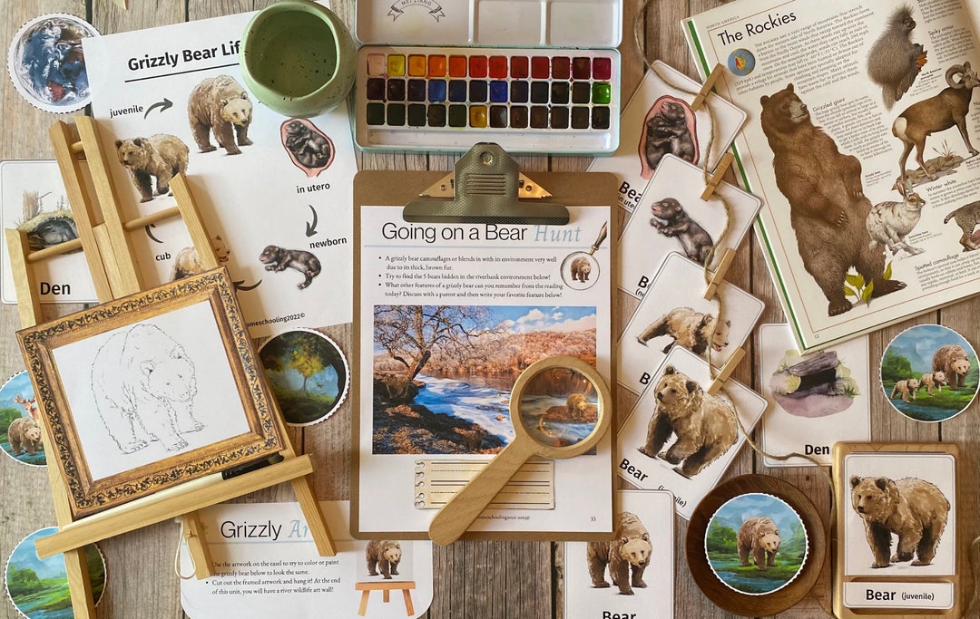 Grizzly & Black Bear Nature Unit - Etsy