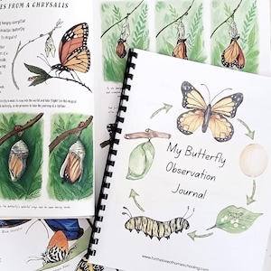 Puede incluir: Un diario encuadernado en espiral titulado "My Butterfly Observation Journal" con ilustraciones en acuarela de mariposas, orugas y crisálidas. El diario incluye diagramas y texto sobre el ciclo de vida de la mariposa. La portada presenta una ilustración de mariposa.