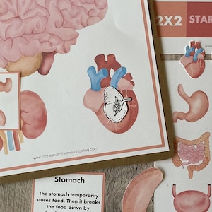 Human Body Mini Bundle