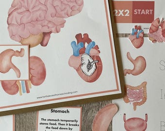Human Body Mini Bundle