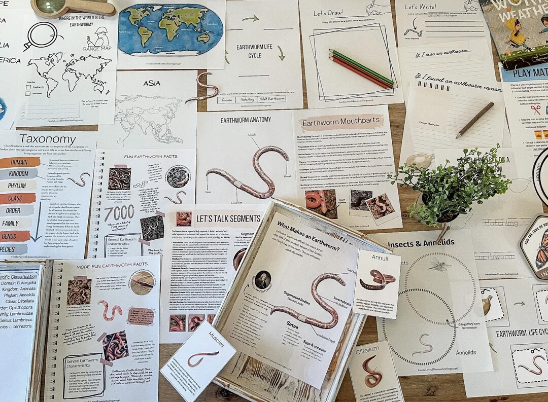 Earthworm Unit Study - Etsy