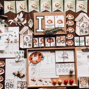 I is for Insect Early Learning Pack