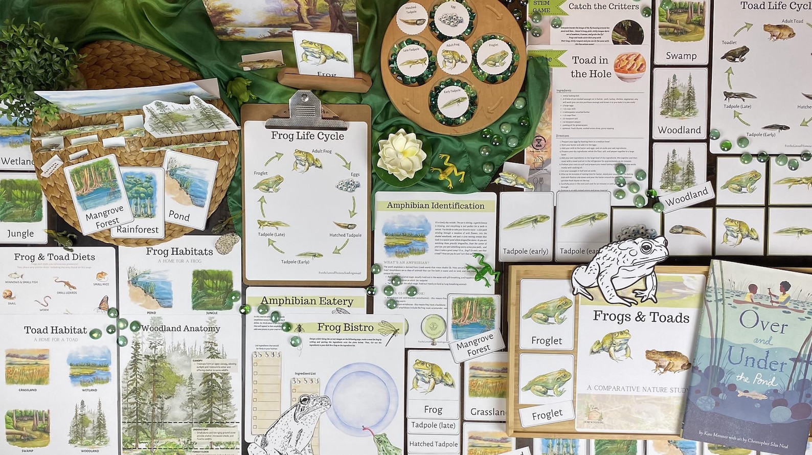 Frogs & Toads A Comparative Nature Study - Etsy