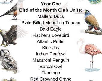 Peut inclure: Une affiche intitulée "Oiseau du Mois" avec des illustrations de divers oiseaux, dont un pygargue à tête blanche, un flamant rose et un geai bleu. Le texte indique "Year One Bundle" et "Bird of the Month Club Units."