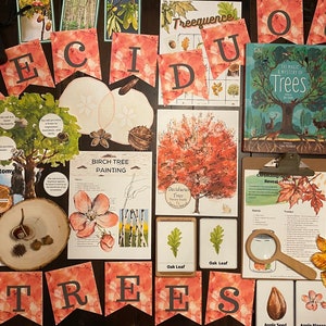 May include: A collection of educational resources for teaching about deciduous trees. The materials include a book, flashcards, a banner, and a variety of other resources. The materials are colourful and engaging, and they would be a great addition to any classroom or homeschool.