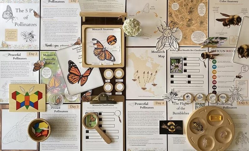 5 P's of Pollinators - Etsy