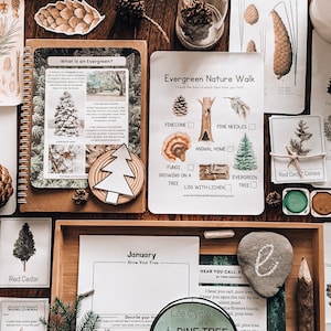 Evergreen Nature Study