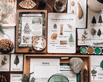 Evergreen Nature Study