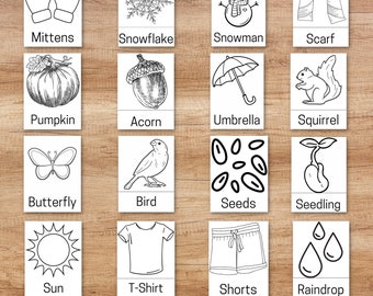 Make Your Own Four Seasons Flashcards and 3 Part Cards