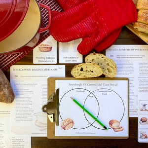 Könnte beinhalten: Ein Satz druckbarer Ressourcen für das Backen von Sauerteig, darunter eine Bingokarte, ein Venn-Diagramm, das Sauerteig und kommerziellen Hefeteig vergleicht, und ein Blatt mit Anweisungen zu den Methoden des Sauerteigbackens. Das Bild zeigt außerdem einen roten Ofenhandschuh, einen Topf und mehrere Sauerteigbrote.