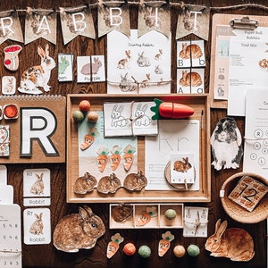 R is for Rabbit Early Learning Pack