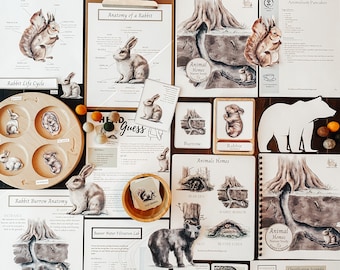 Animal Homes Nature Study