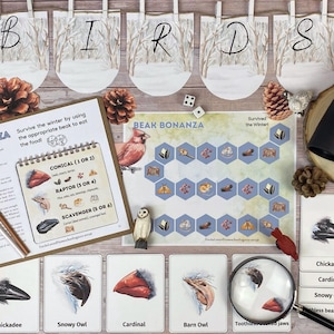 Può includere: Un'esposizione da tavolo con un gioco educativo a tema uccelli. La scena comprende una clip board con istruzioni, carte di gioco, un gioco da tavolo, un binocolo ed elementi decorativi come pigne e una lente d'ingrandimento. La parola "BIRDS" è visualizzata sopra.