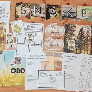 May include: Educational resources for children with a snake theme. Includes flashcards, worksheets, and a banner spelling "SNAKE." The materials cover topics like maths, language arts, and a recipe activity. The colour palette includes greens, browns, and yellows.
