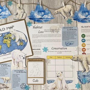 Polar Bear Nature Study