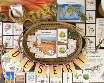 砂漠バイオーム自然研究