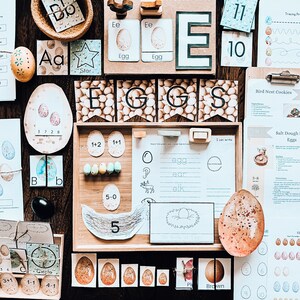 E is for Egg Early Learning Pack