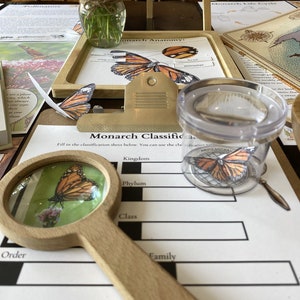 5 P&#39;s of Pollinators