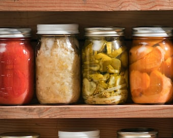 Conservación de alimentos, enlatado, congelación y deshidratación para principiantes