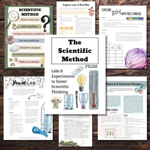 May include: A set of colorful printable worksheets for teaching the scientific method. The worksheets feature illustrations of experiments, including a yeast lab, a surface area and heat loss experiment, and an experiment using red cabbage to test pH levels. The worksheets also include text explaining the steps of the scientific method.