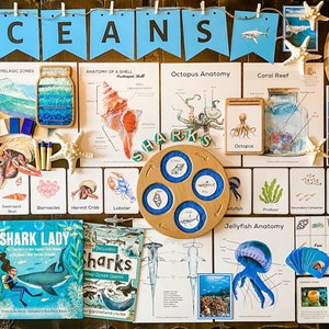Ocean Nature Study