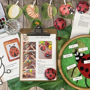May include: A ladybug craft kit with instructions for making a 3-D ladybug, a felt ladybug, and a coloring page. The kit includes paint, felt, and other craft supplies. The image also shows a ladybug life cycle chart with illustrations of the egg, larva, pupa, and adult stages.