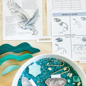 May include: A white bowl filled with blue rice and white beans. There are several owl pellets, a snowflake, and two gold metal clips in the bowl. The text "Owl Pellets" is printed on a white card in the bowl.