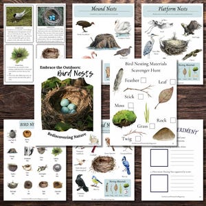 Op de afbeelding: Een printbare educatieve bron voor kinderen over vogelnesten. De kleurrijke pagina's bevatten illustraties van verschillende soorten vogelnesten, waaronder heuvelnesten, platformnesten en cupnesten. De bron bevat ook een speurtocht-activiteit om kinderen te helpen leren over de materialen die vogels gebruiken om hun nesten te bouwen.