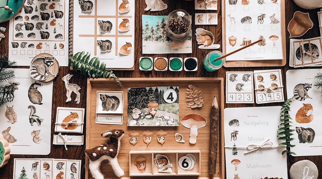 Forest Learning Display In the Forest Learning Pack - Etsy