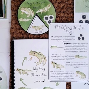 Frog Life Cycle Nature Study