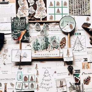 Op de afbeelding: Een verzameling educatief materiaal met een natuurthema. Inclusief een boek getiteld "The Boreal Forest", illustraties van dennenappels en diverse werkbladen. Het kleurenpalet wordt gedomineerd door groen, bruin en wit.
