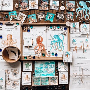 May include: A collection of printable educational resources for children featuring an octopus theme. The resources include counting, addition, subtraction, tracing, and matching activities. There are also craft ideas and a printable anatomy poster.