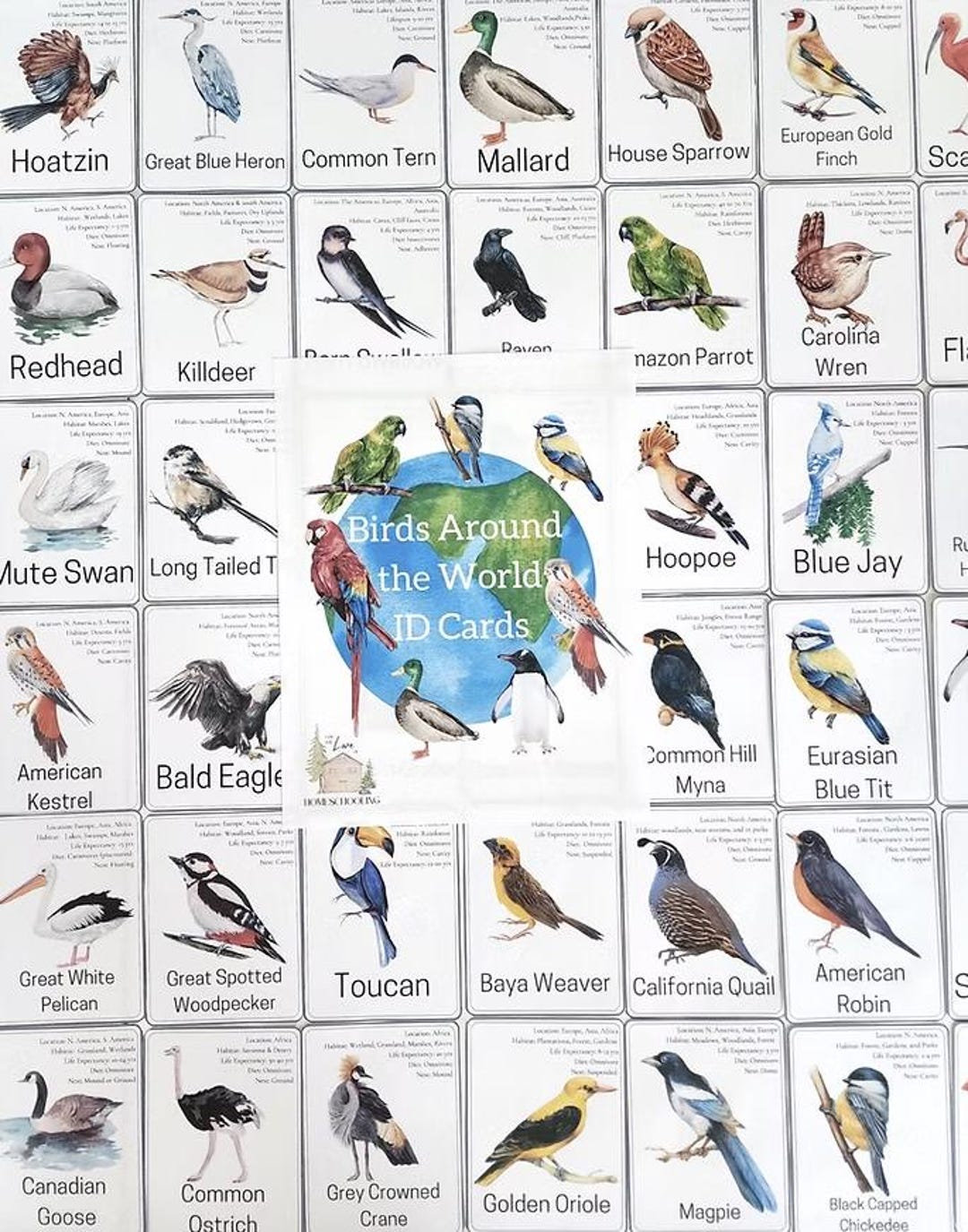 Birds of the World Identification Cards - Etsy
