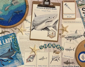May include: An educational display featuring shark-themed materials. Includes a clipboard with a shark illustration, flashcards, a book titled "Shark Lady," starfish, and wooden shark models. The word "SHARKS" is spelled out with wooden letters.