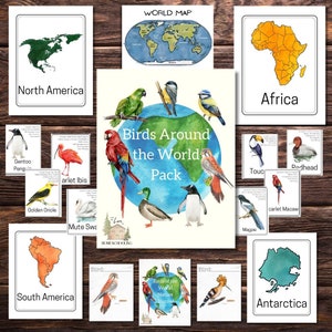 Vögel der Welt Paket