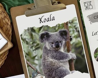 Puede incluir: Un portapapeles con una imagen de un koala agarrado a una rama de árbol. La palabra "Koala" está escrita en la parte superior de la imagen. Otras tarjetas con texto e ilustraciones son visibles en el fondo.