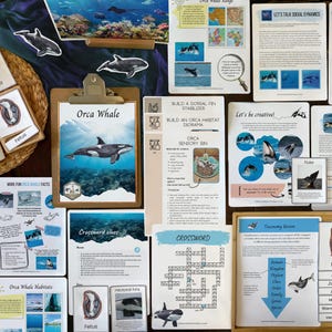 May include: A colorful educational resource for learning about orca whales. The resource includes a variety of activities, such as a crossword puzzle, a life cycle diagram, and a habitat building activity. The resource also includes a close-up image of an orca whale.